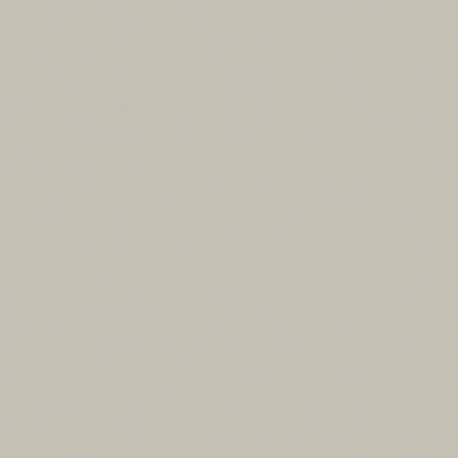 Confetti Cottons Solid Light Gray Riley Blake Designs Cotton Fabric by the Yard