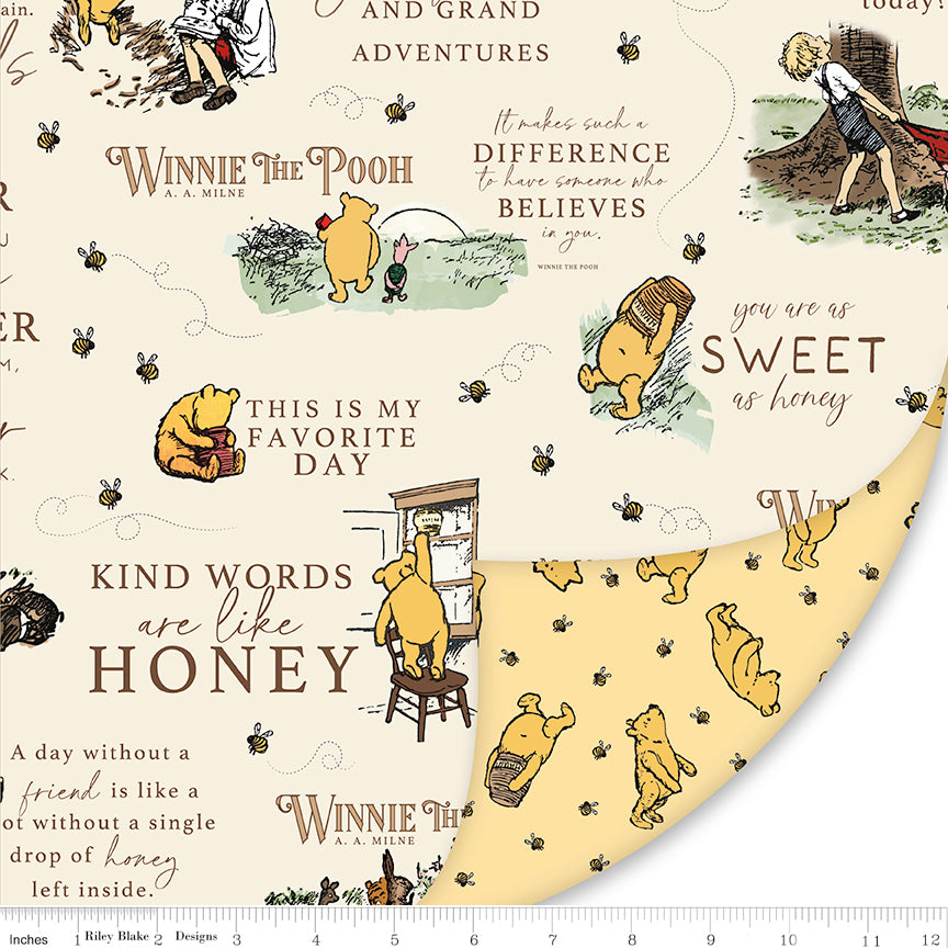 Double Lush Velvet Winnie the Pooh 2 Yard Package | Riley Blake Designs
