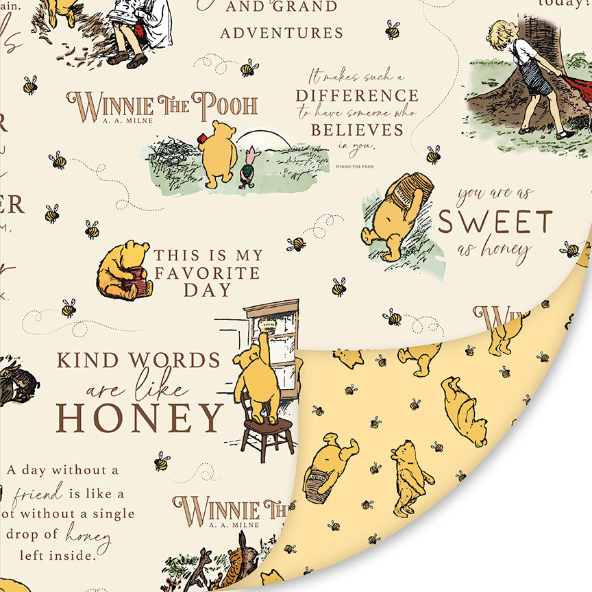 Double Lush Velvet Winnie the Pooh 2 Yard Package | Riley Blake Designs