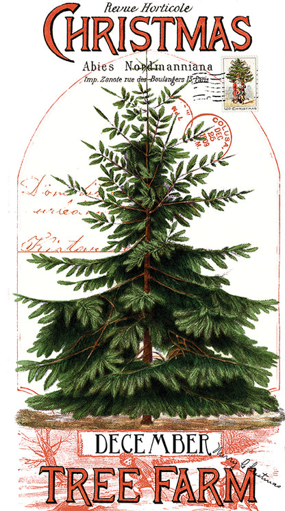 Classic Christmas 24" x 43" Christmas Botanical Main Panel - Riley Blake Designs