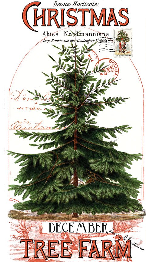 Classic Christmas 24" x 43" Christmas Botanical Main Panel - Riley Blake Designs - Ray of Sonshine Design