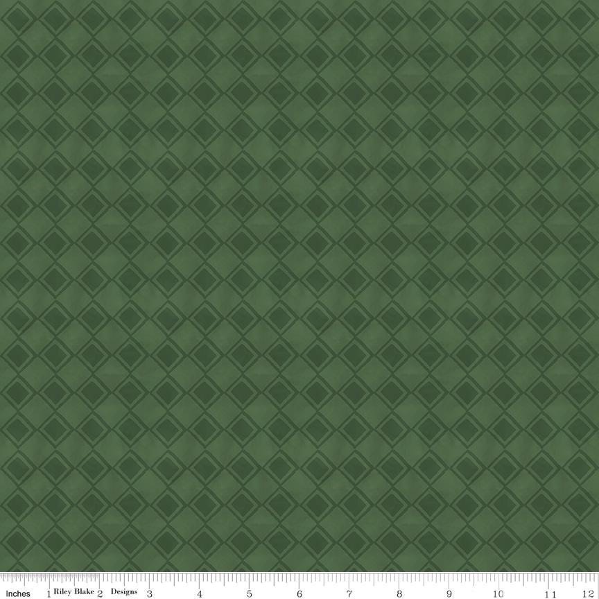 Come Let Us Adore Him Tonal Green - Riley Blake Designs - Christmas Holiday Fabric by the yard - C16313 - GREEN - Ray of Sonshine Design