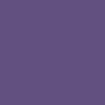 Confetti Cotton Grape - C120 - GRAPE - Riley Blake Designs - Fabric Solids - Cotton Fabric by the yard - Ray of Sonshine Design