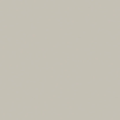 Confetti Cottons Solid Light Gray Riley Blake Designs Cotton Fabric by the Yard - Ray of Sonshine Design