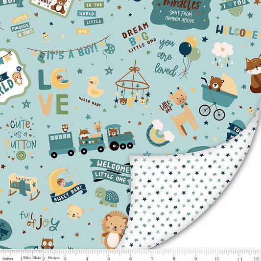 Double Lush Velvet Baby Boy - Riley Blake Designs - Double Sided Plush - No Fray - LV17366 - Ray of Sonshine Design