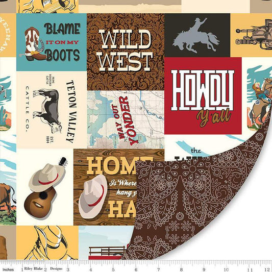 Double Lush Velvet Cowboys - Riley Blake Designs - Double Sided Plush - No Fray - LV16803 - Ray of Sonshine Design