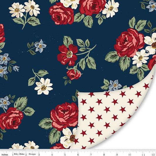 Double Lush Velvet Independence - Riley Blake Designs - Double Sided Plush - No Fray - LV17362 - Ray of Sonshine Design