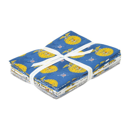 FFA Forever Blue Refreshed Riley Blake Designs 1 - Yard Precut Fabric Bundle 9 Pieces 9 Yards - Ray of Sonshine Design