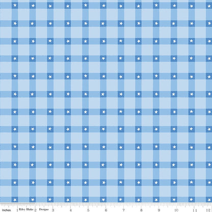 Firecracker Plaid Frost — Plaid with Stars Fabric by the Yard (C17202 - FROST) - Ray of Sonshine Design
