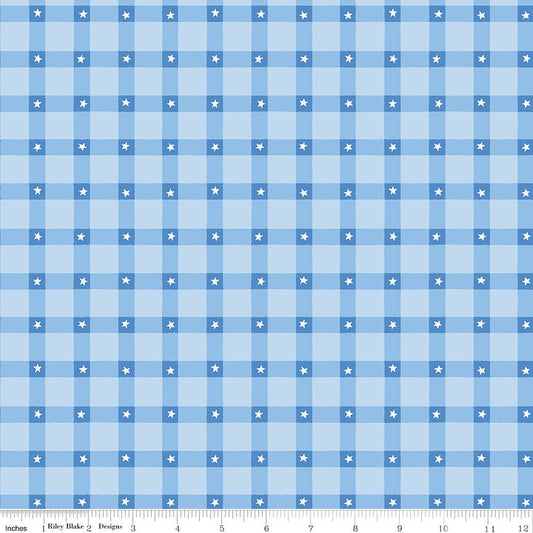 Firecracker Plaid Frost — Plaid with Stars Fabric by the Yard (C17202 - FROST) - Ray of Sonshine Design