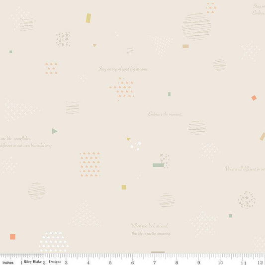 Hush Hush 3 Big Dreams - Riley Blake Designs - Cotton Fabric by the yard - Ray of Sonshine Design
