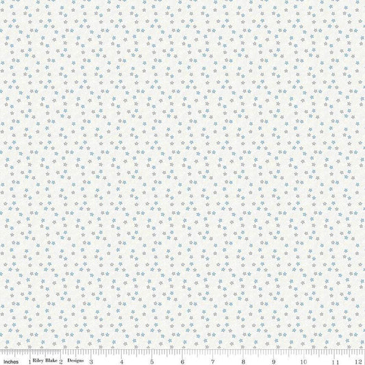 Hush Hush 3 Oops - a - Daisy - Riley Blake Designs - Cotton Fabric by the yard - C14060 - OOPS - Ray of Sonshine Design