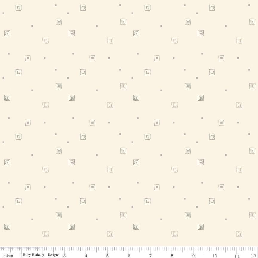 Hush Hush 5 All Boxed In - Riley Blake Designs - Cotton Fabric by the Yard - C16955 - BOXED - Ray of Sonshine Design