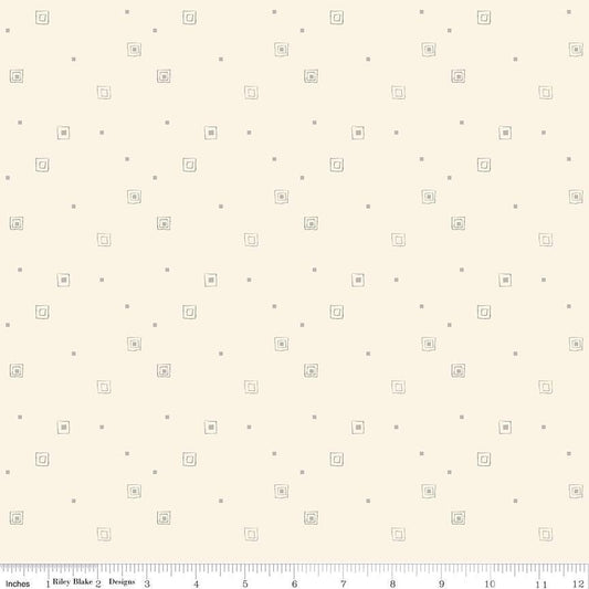 Hush Hush 5 All Boxed In - Riley Blake Designs - Cotton Fabric by the Yard - C16955 - BOXED - Ray of Sonshine Design