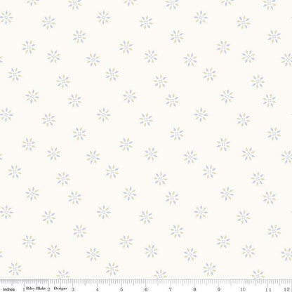 Hush Hush 4 Wink Wink - Riley Blake Designs - Cotton Fabric by the yard - C15441-WINK