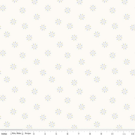 Hush Hush 4 Wink Wink - Riley Blake Designs - Cotton Fabric by the yard - C15441-WINK