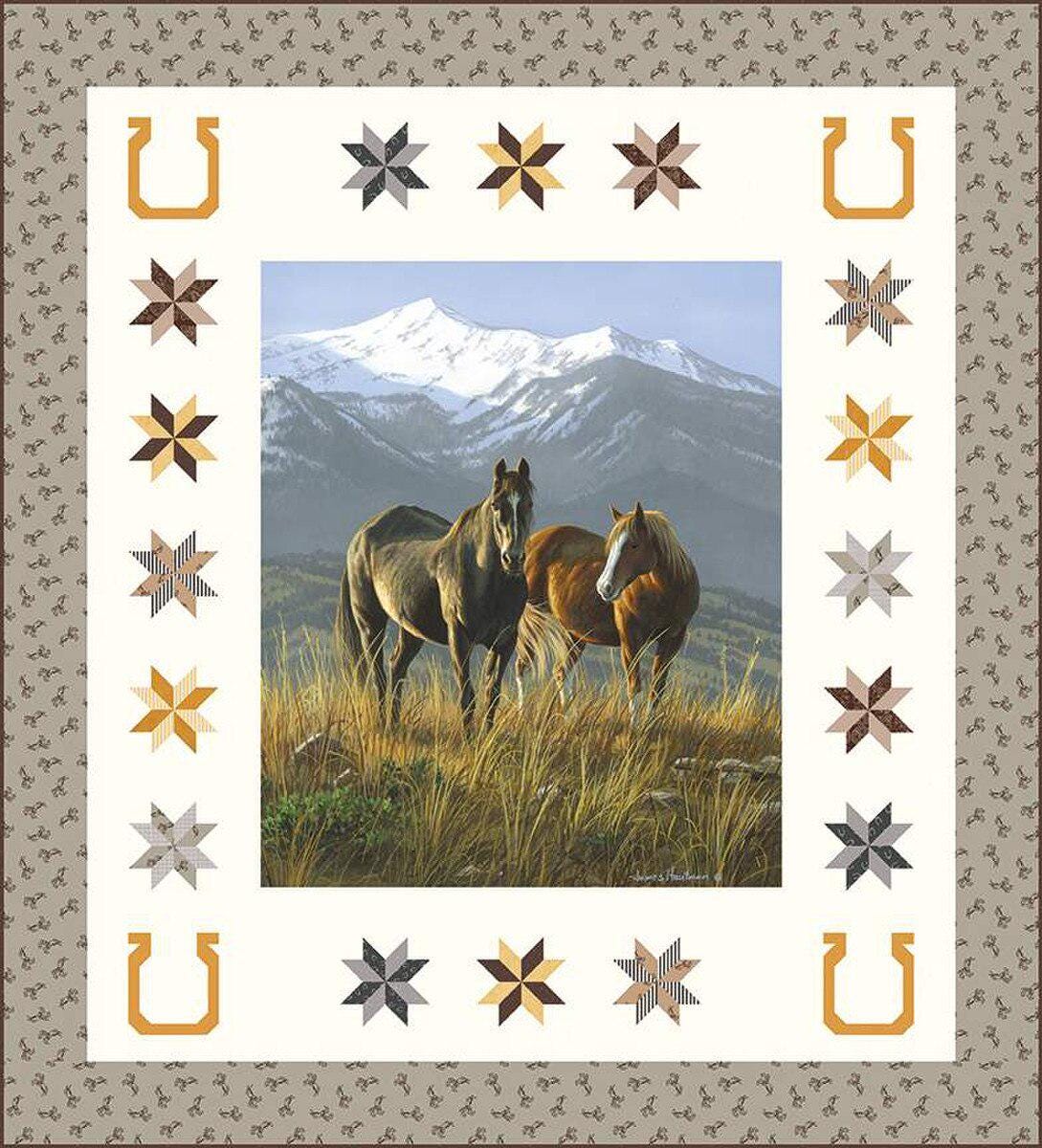 Smoky Valley Panel Boxed Kit includes pattern and fabric for quilt top and binding. Backing not included. KT-15530