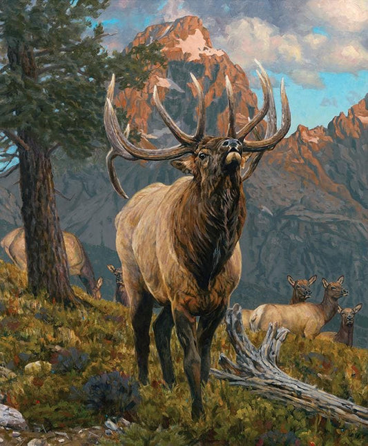 Majestic in Nature Digitally Printed 36" x 43" Grand Elk Panel - Riley Blake Designs - Ray of Sonshine Design