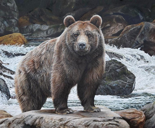 Majestic in Nature Digitally Printed 36" x 43" No Fish Today Panel - Riley Blake Designs - Ray of Sonshine Design