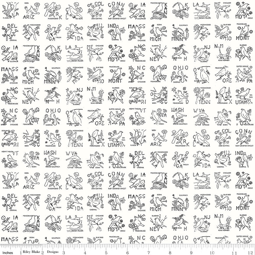 Sew America State Birds White Riley Blake Designs Quilting Cotton Fabric by the Yard - Ray of Sonshine Design