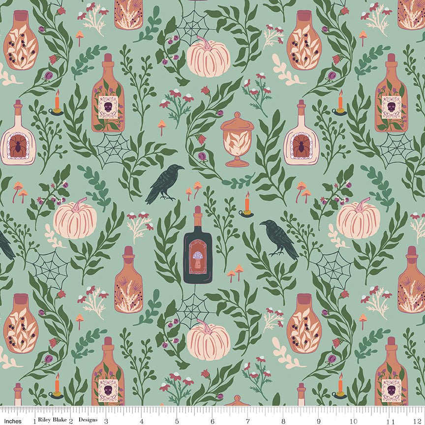 The Apothecary Main Mint Riley Blake Designs Fabric by the Yard - Ray of Sonshine Design