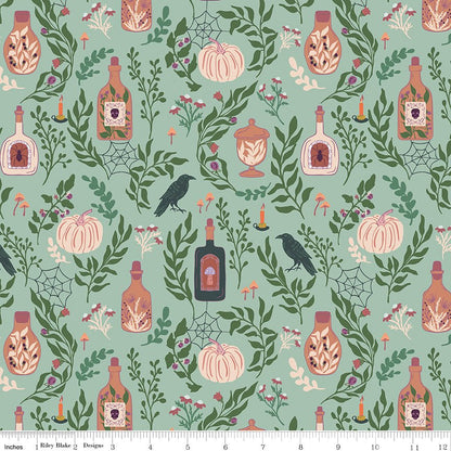 The Apothecary Main Mint Riley Blake Designs Fabric by the Yard - Ray of Sonshine Design