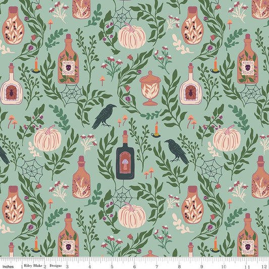 The Apothecary Main Mint Riley Blake Designs Fabric by the Yard - Ray of Sonshine Design
