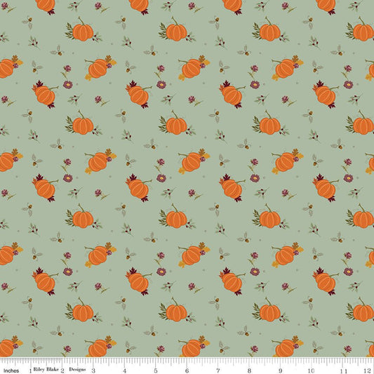The Awe of Autumn Pumpkins - Hazy | Riley Blake Designs Fabric by the Yard - Ray of Sonshine Design