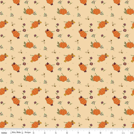 The Awe of Autumn Pumpkins Latte - C16192 - LATTE - Riley Blake Designs - Fall Fabric - Cotton Fabric by the yard - Ray of Sonshine Design