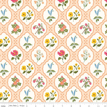 Virginia Rose Wallflower Shell Riley Blake Designs Quilting Cotton Fabric by the Yard - Ray of Sonshine Design